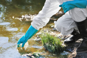 An image of a researcher collecting a water sample from a stream for our article on MPH salary