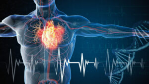 cardiologists work to protect heart and blood vessels