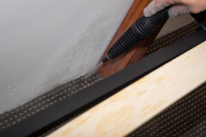 professional bed bug control; spraying bed frames with insecticide