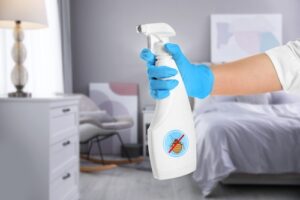 bed bug sprays work for limited infestations, chemical bed bug sprays, chemical control of bed bug